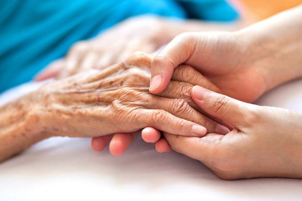 paliative care