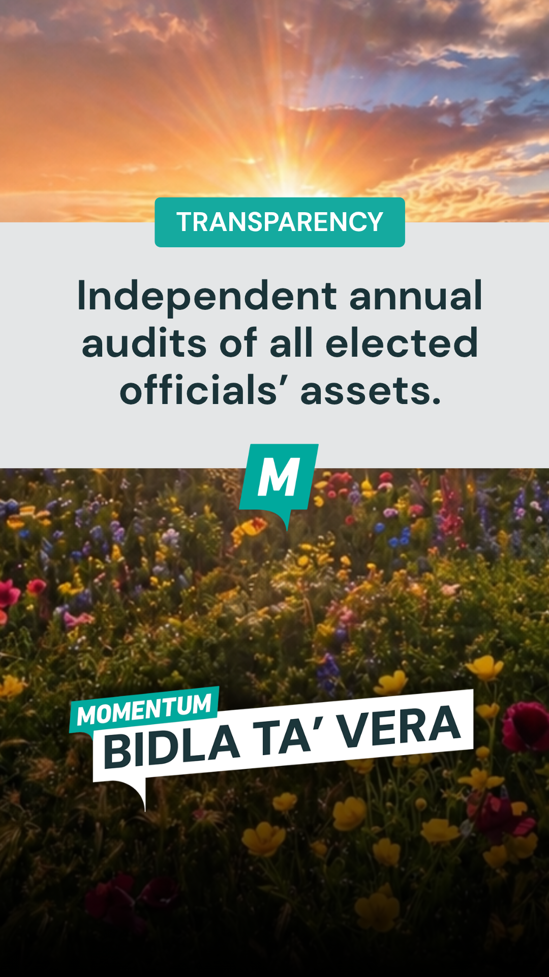Planning - Audit Assets