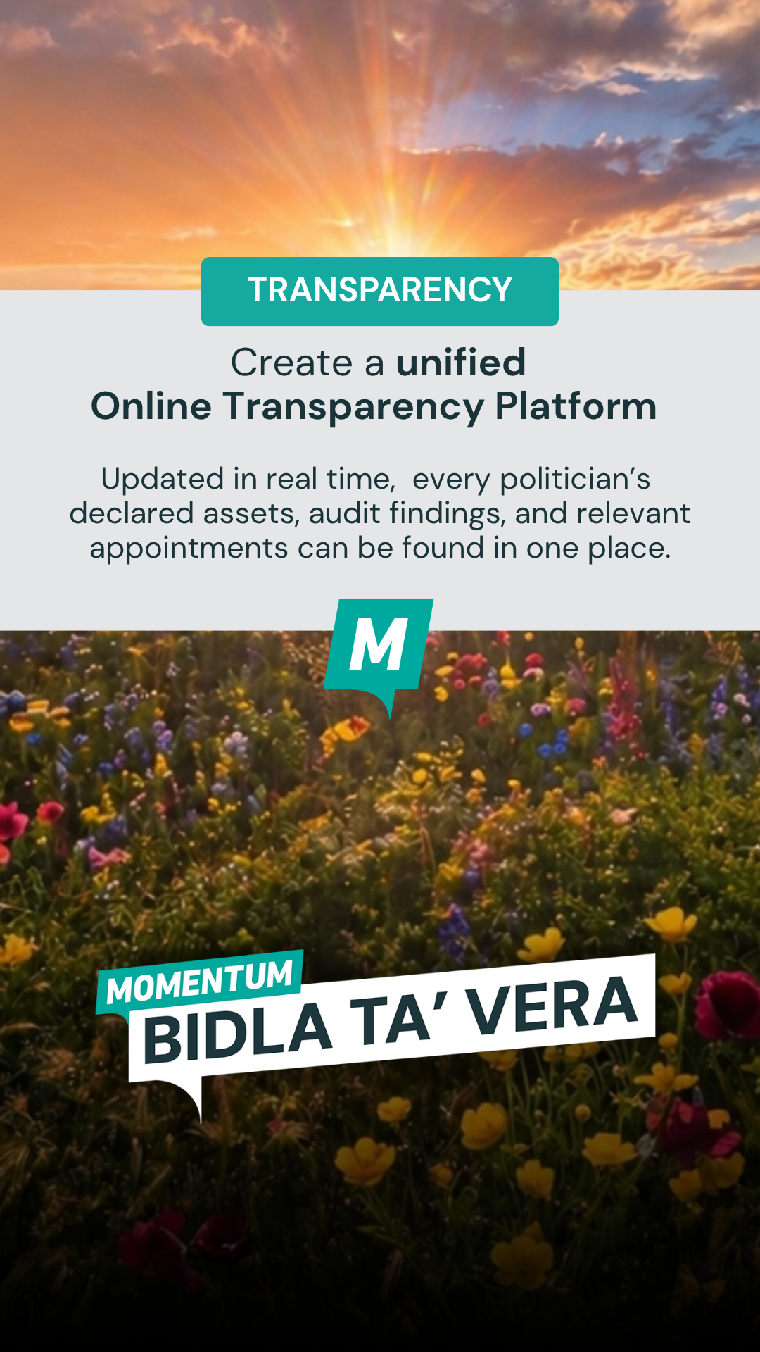 ttransparency