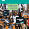 Appeals reform: necessary first step but Cabinet loophole could undermine it