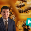 National plan needed to protect Malta’s honeybees and support beekeepers
